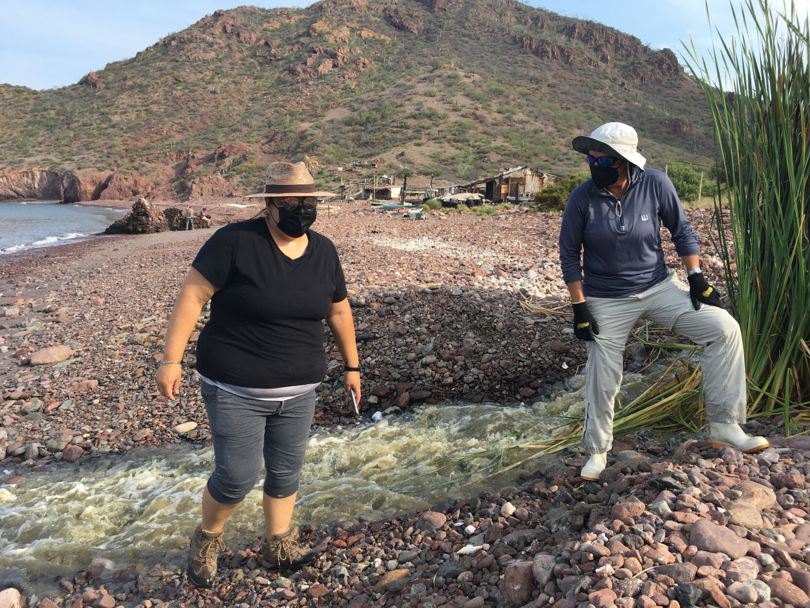 San Carlos, Guaymas, sewage, 2021